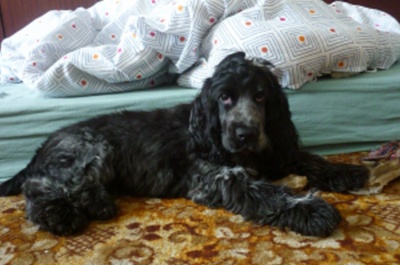 Berry 16.7.2010 (6).jpg